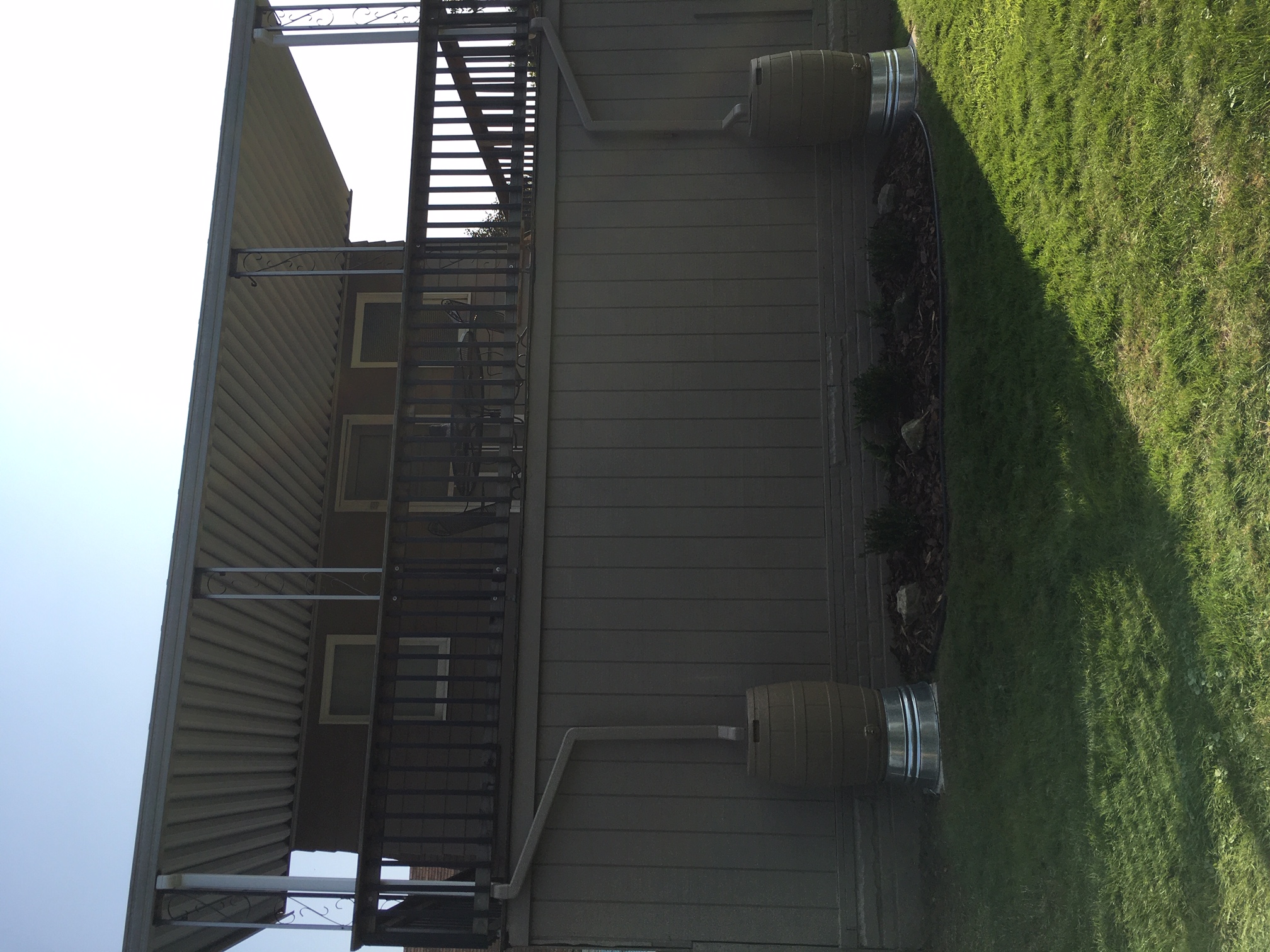 An outdoor setup with multiple rain barrels positioned against a wooden fence, demonstrating a rainwater harvesting system in a garden setting