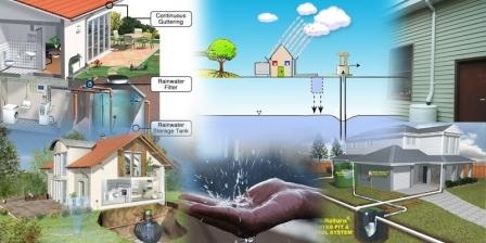 A detailed infographic explaining the basics of rainwater harvesting, featuring diagrams and key points on how to collect and use rainwater effectively