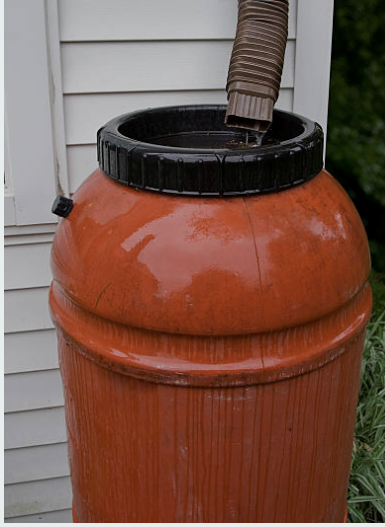 Diverter rain barrel 
